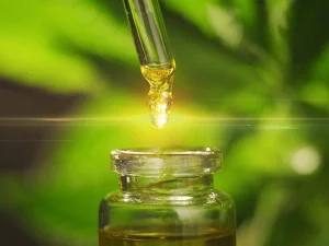 Benefícios da Cannabis medicinal