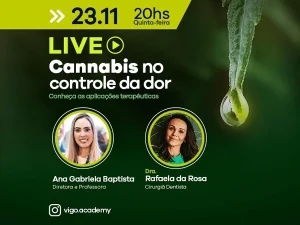 cannabis no controle da dor