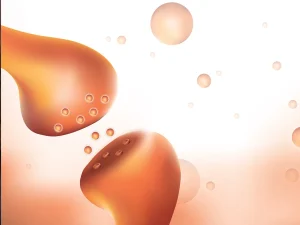 Sistema Endocanabinoide: fundamental e pouco conhecido