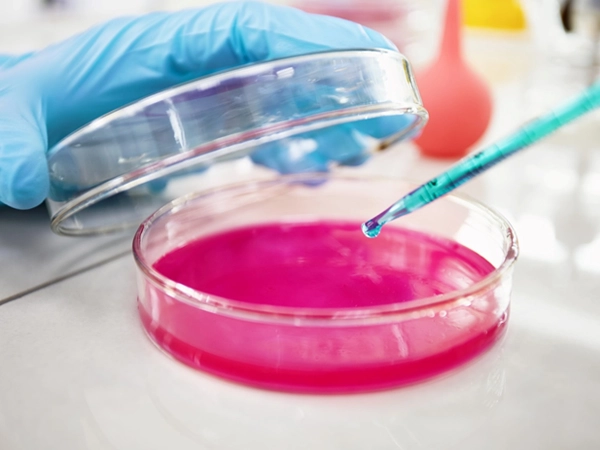 Derivados de Canabidiol como Novos Agentes Antibacterianos