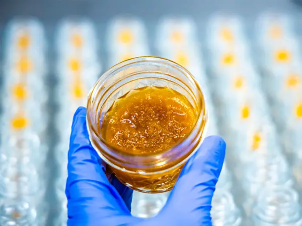 Métodos de Extração da Cannabis medicinal: Entenda como os compostos ativos são obtidos