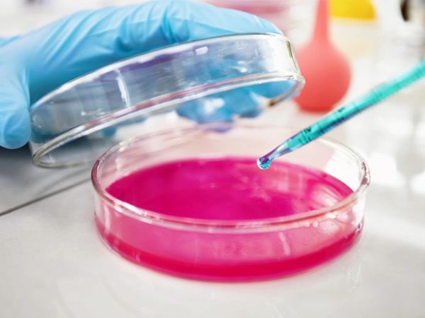 canabinoides no combate a bacterias resistentes