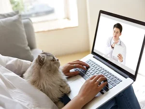 telemedicina veterinaria uma inovacao no cuidado animal