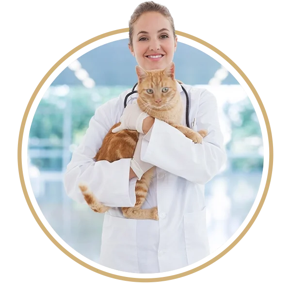 fotos veterinario2