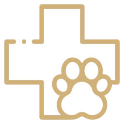 icone terapeuticas