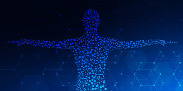 sistema endocanabinoide thc e cbd
